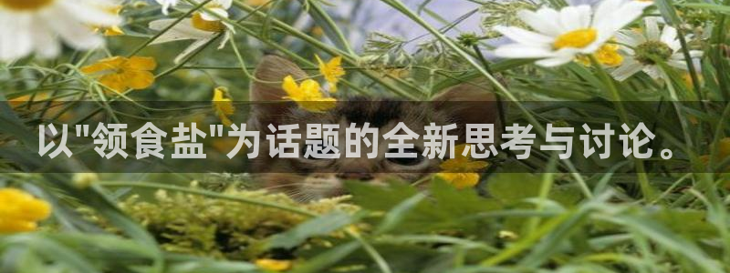 78mapp威九国际最新版