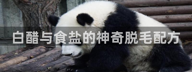 威九国际网站经常打不开