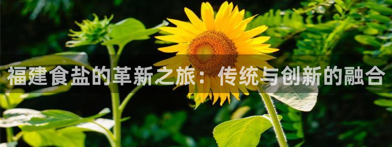 78mapp威九国际