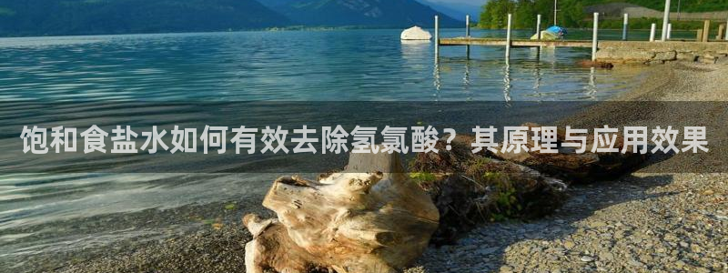威九国际清砖码头在哪