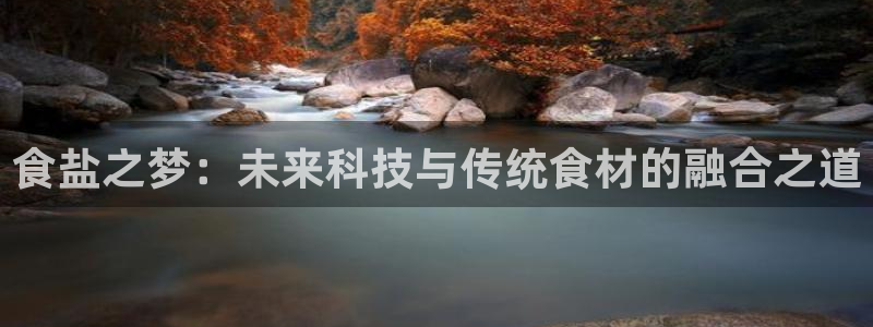 威九国际系列：食盐之梦：未来科技与传统食材的融合之道