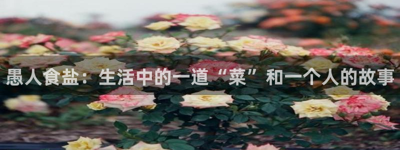 威九国际v96bet官网版