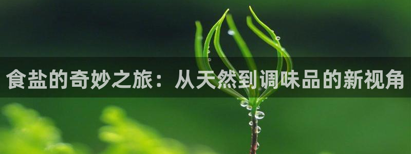 威九国际电影HD