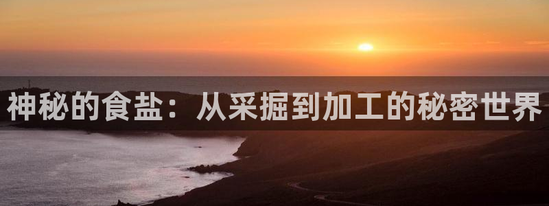 威九国际客服电话