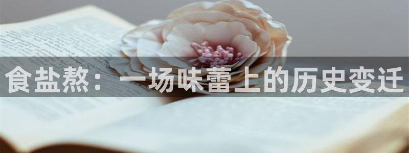 78mapp威九国际网页版