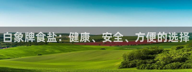 威九国际ppt官网