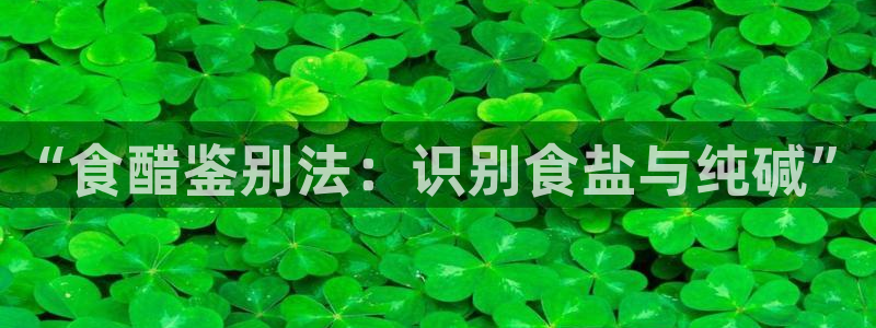 威九国际成长模式