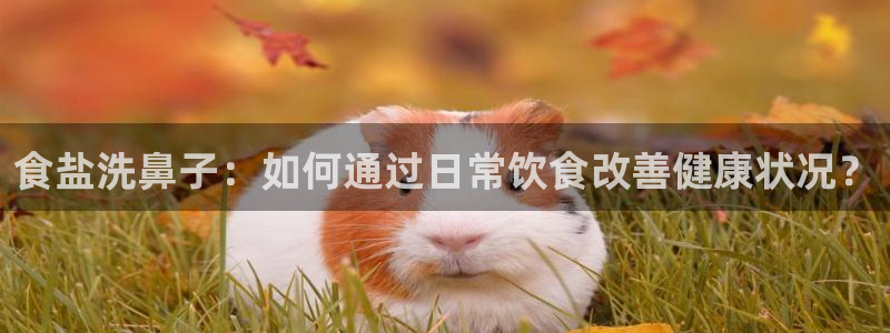 威九国际的网站入口在哪里