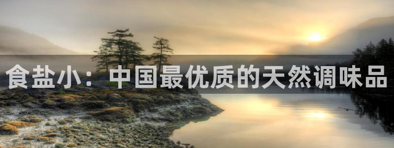 威九国际成长模式