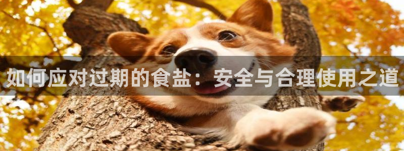 威九国际的金融服务有哪些