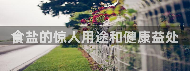 威九国际ppt免费