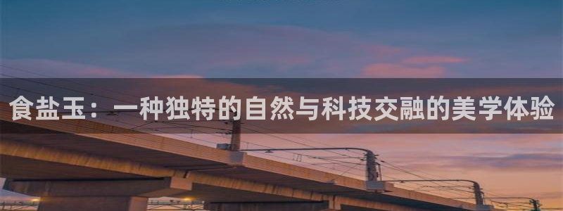 威九国际78m小说