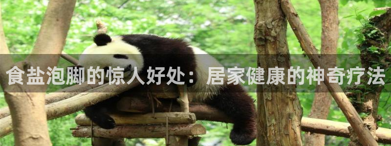 威九国际女演员名单介绍