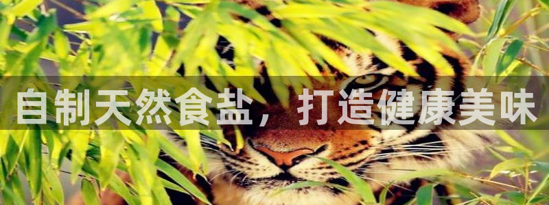 威九国际瘫痪丈夫眼见证