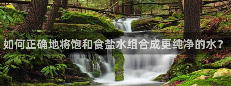 威九国际精选酒店电话