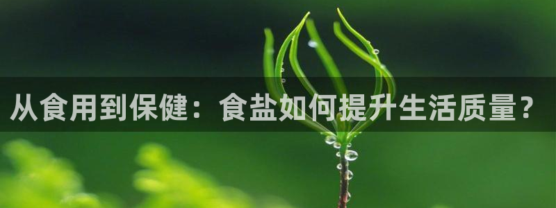 威九国际网站怎么样