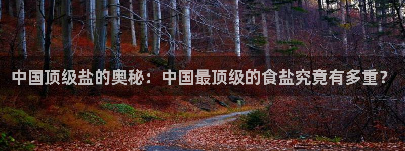 威九国际官网版下载