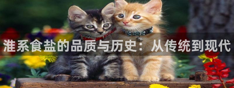 威九国际精选酒店地址