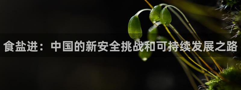 威九国际网站链接怎么打开