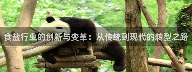 威九国际精免费下载