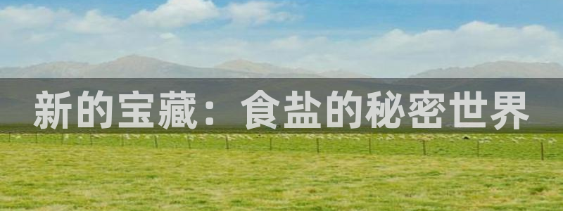 威九国际网站入口官网游戏推荐