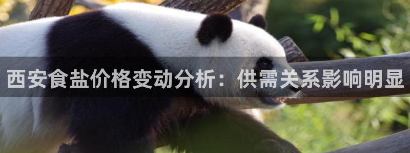 威九国际女主名字