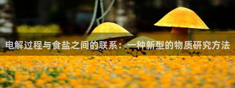 威九国际清砖码头在哪