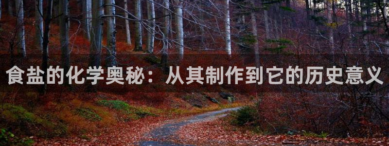 威九国际网站入口官网免费