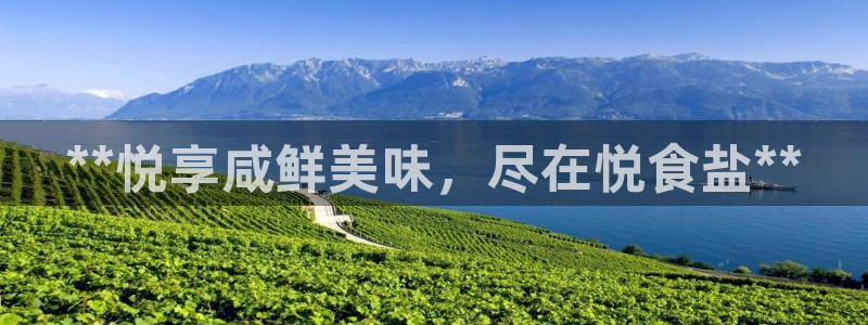 威九国际APP入口