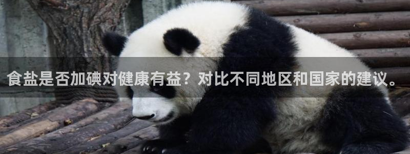 威九国际78免下载