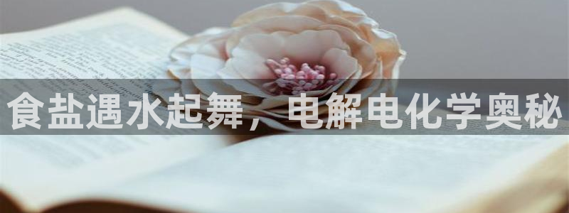 威九国际网站在哪里