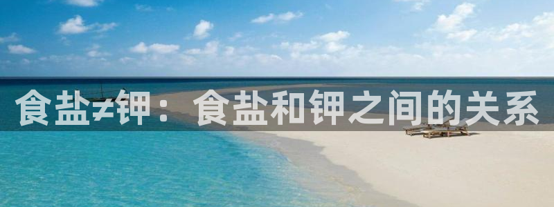 威九国际视频传媒招聘