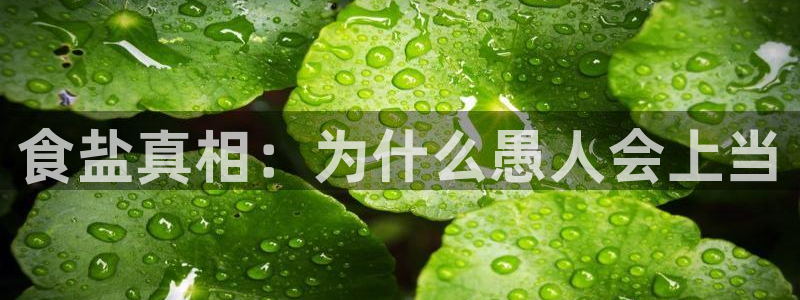 威九国际网站安全吗可靠吗