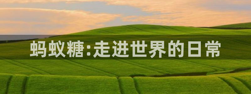 威九国际新人白发