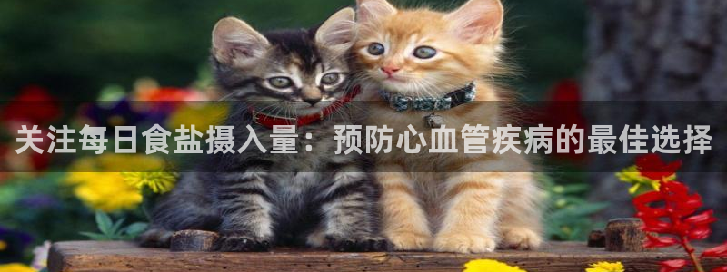 威九国际客服电话是多少