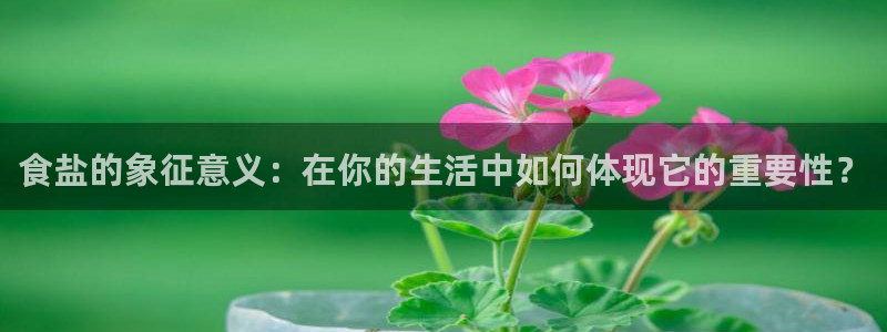 威九国际app下载