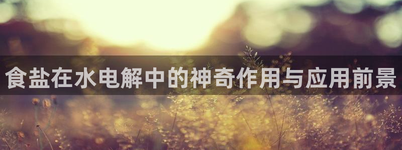 78mapp威九国际官网