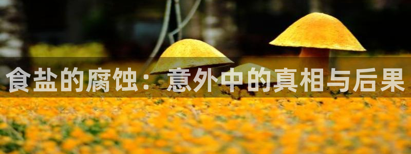 威九国际ppt免费下载网址