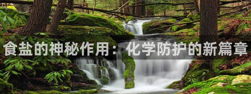 威九国际网站影视