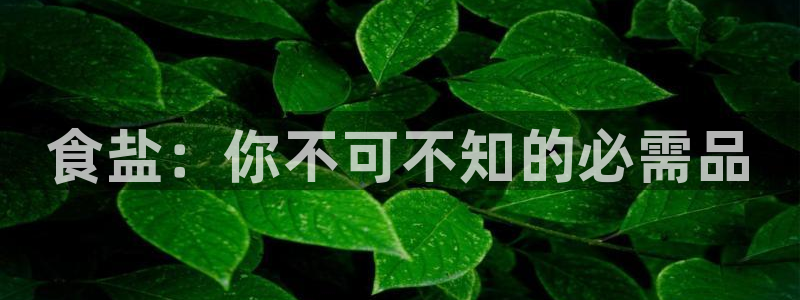 威九国际可以赚到钱