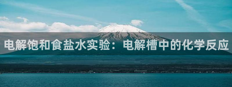 威九国际网站官网