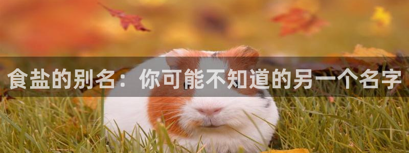 威九国际可以提现吗