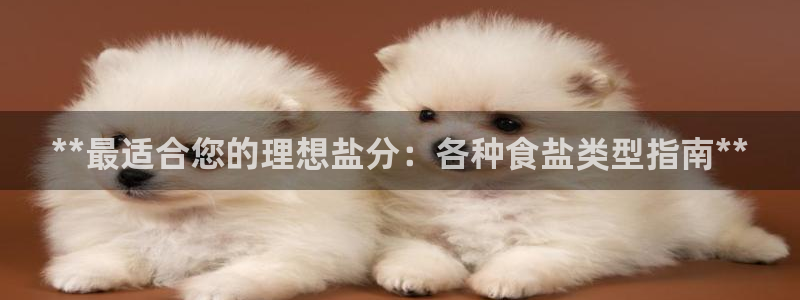 威九国际MM