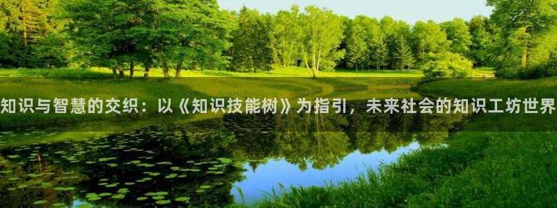 辣文小说h：知识与智慧的交织：以《知识技能树》为指引，未来社会的知识工坊世界