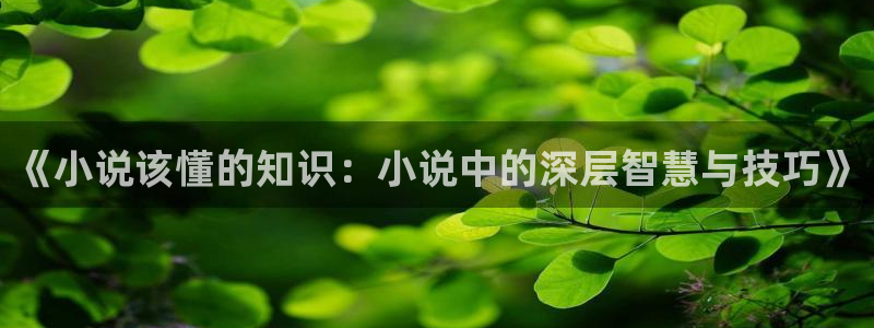 姐弟辣文小说合集：《小说该懂的知识：小说中的深层智慧与技巧》