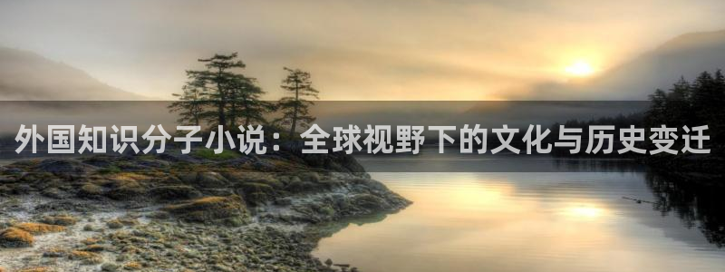 第三书包网辣文小说：外国知识分子小说：全球视野下的文化与历史变迁