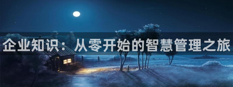 辣文小说兄妹：企业知识：从零开始的智慧管理之旅