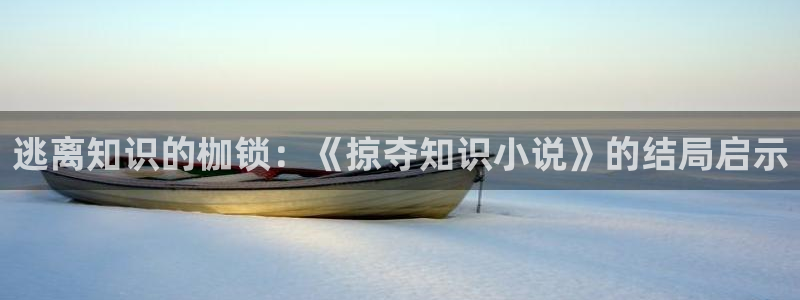高辣辣文小说网：逃离知识的枷锁：《掠夺知识小说》的结局启示