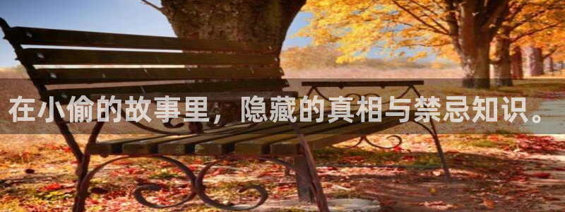 h辣文小说txt全本免费下载：在小偷的故事里，隐藏的真相与禁忌知识。